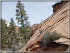 foto Capitol Reef e Bryce Canyon